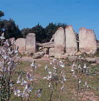 Tomba dei Giganti di Su Monte de S'Ape