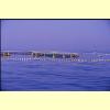 allevamento_golfo_aranci_1_s.jpg 2.0K