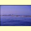 allevamento_golfo_aranci_s.jpg 1.9K