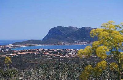 golfo aranci capo figari.jpg 21.4K