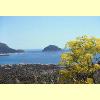 golfo_aranci_isola_figarolo_01_s.jpg 2.4K