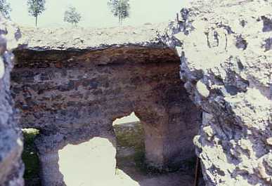 cisroman.jpg 17.0K