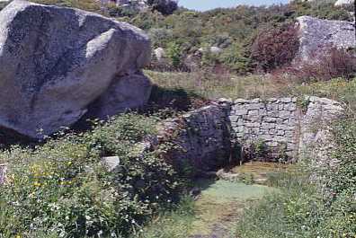 malchitt1.jpg 23.4K