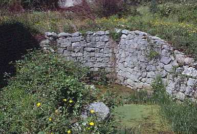 malchitt2.jpg 24.1K