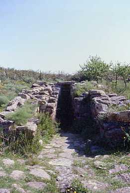 pozzo3.jpg 15.7K