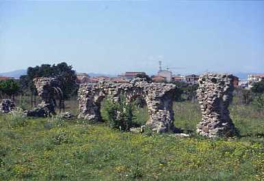 romano02.jpg 15.7K