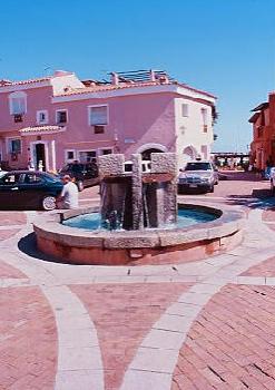 cervo37.jpg 19.2K