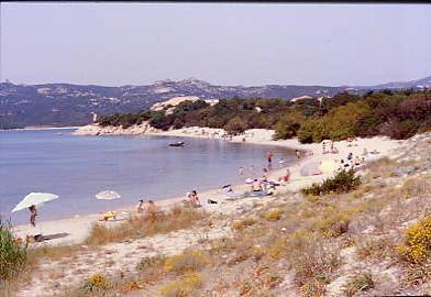 la_celvia1.jpg 22.0K