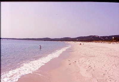 liscia_ruia1.jpg 13.6K