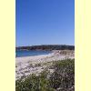 razza_di_junco_06_s.jpg 2.4K