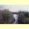 canneto_s.jpg 2.6K