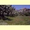 paesaggio_02_s.jpg 3.0K