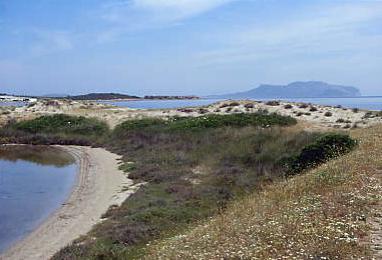 capoceraso_01.jpg 19.3K