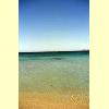 la_playa_02_s.jpg 1.9K