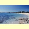 pellicano_01_s.jpg 2.4K
