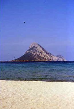 porto_taverna_03.jpg 12.4K