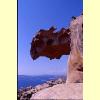 capo_orso10_s.jpg 2.6K
