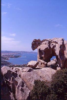 capo_orso11.jpg 20.6K
