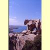 capo_orso11_s.jpg 2.5K