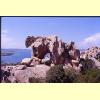 capo_orso14_s.jpg 2.9K