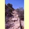 capo_orso7_s.jpg 2.9K