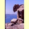 capo_orso9_s.jpg 2.8K
