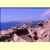 capo_orso_s.jpg 3.0K