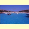mortorio_spiaggia_1_s.jpg 2.1K