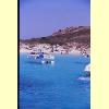 mortorio_spiaggia_2_s.jpg 2.3K