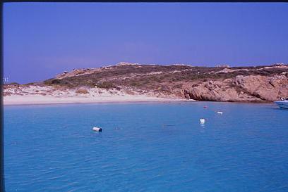 mortorio_spiaggia_3.jpg 15.0K