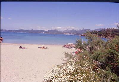 spiaggia_i_sassi.jpg 19.5K