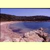 spiaggia_le_alghe_s.jpg 2.7K