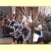 sartiglia_oristano23_s.jpg 4.0K