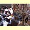 sartiglia_oristano24_s.jpg 3.6K