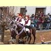 sartiglia_oristano25_s.jpg 3.6K