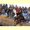 sartiglia_oristano3_s.jpg 3.7K