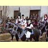 sartiglia_oristano40_s.jpg 3.8K