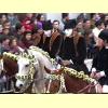 sartiglia_oristano42_s.jpg 3.9K