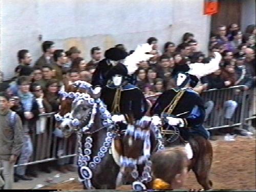 sartiglia_oristano43.jpg 39.1K