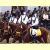 sartiglia_oristano45_s.jpg 3.8K