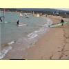 surf5_s.jpg 2.9K
