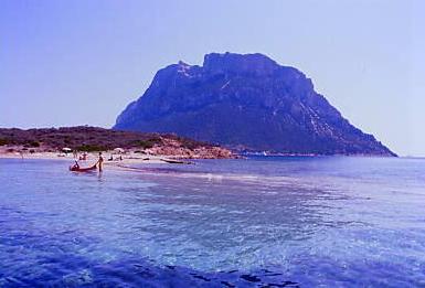 tavolara_1.jpg 16.6K
