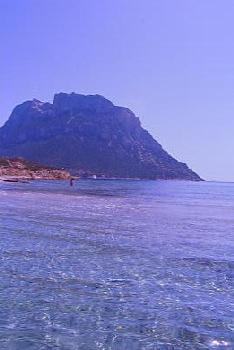 tavolara_12.jpg 12.8K
