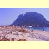 tavolara_spiaggia_1_s.jpg 2.3K