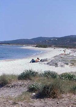 cala_ambra01.jpg 17.3K