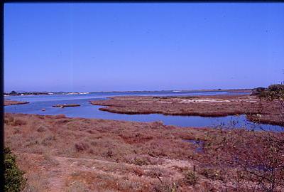 san_teodoro_stagno.jpg 19.1K