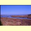 san_teodoro_stagno_s.jpg 2.2K