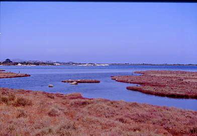 stagno_san_teodoro.jpg 16.2K