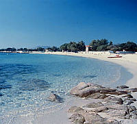Il Pellicano
